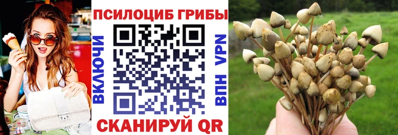 Псилоцибиновые грибы Magic Shrooms  Тулун 